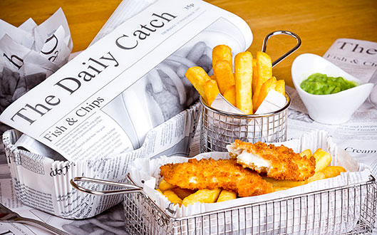 the-daily-catch